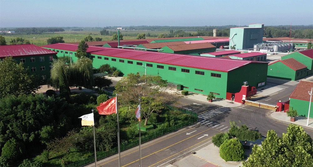 三體系認證是晨虹良好企業形象的佐證！