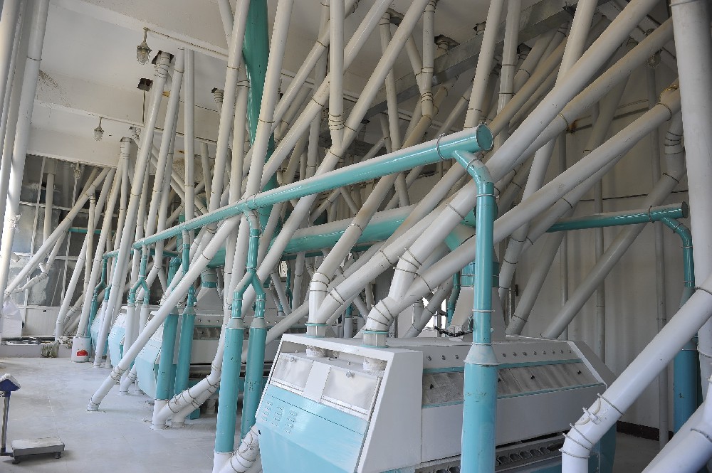 食品工廠新風(fēng)貌，醇酸工業(yè)高光磁漆引領(lǐng)安全升級(jí)